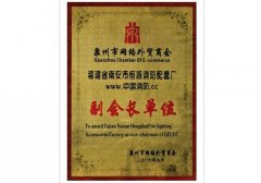 网络外贸商汇副会长单位